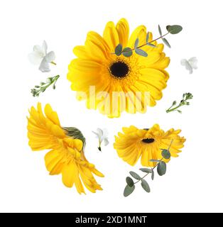 Gelbe Gerberas und andere schöne Blumen in der Luft auf weißem Hintergrund Stockfoto
