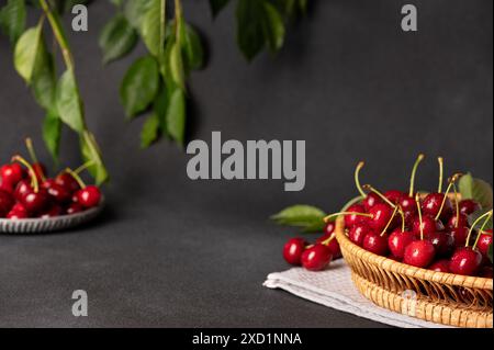 Ein Korb mit frischen, roten Kirschen steht auf einem dunklen Hintergrund mit grünem Blatt Stockfoto