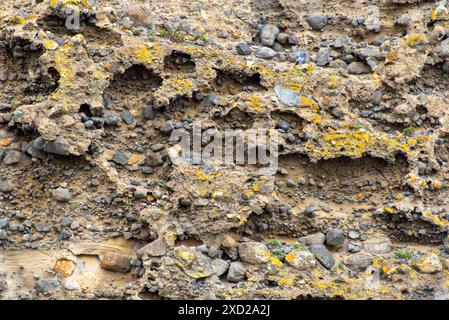 Conglomerate Rock Cliff - Neuseeland Stockfoto