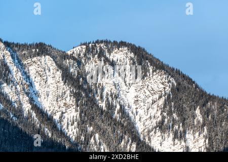 Malerische Winterausblicke in Kanada mit weißer, verschneite Landschaft. In der Nähe des Banff National Park, Alberta. Stockfoto