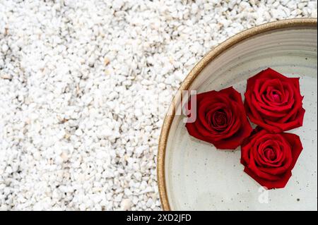 Rote Rosen Blumen im Topf mit Wasser auf weißen kleinen Stein für Zen und Spa Konzept. Stockfoto