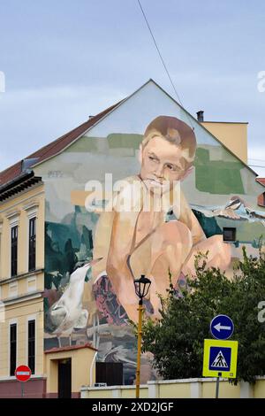 Das Straßenbild mit dem Titel „Evropski Amazon“ wurde für den Tag des Amazonas des Europa im Jahr 2021 geschaffen, in dem die UNESCO das Biosphärenreservat Mura-Drava-Dan erklärte Stockfoto