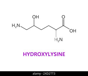 Die chemischen Moleküle der Hydroxylysin-Aminosäure, essentielle Kettenstruktur, umfassen ein Lysin-Grundgerüst mit einer zusätzlichen Hydroxylgruppe, was zur Kollagenstabilität beiträgt. Vektor-Strukturmodell Stock Vektor