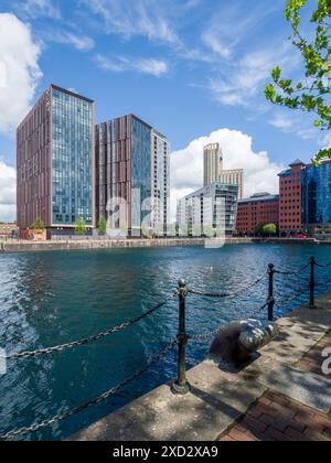 Moderne Apartmentblöcke neben dem Erie Basin in Salford Quays, Salford, Greater Manchester, England. Stockfoto