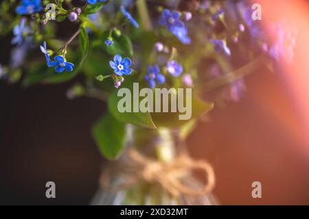 Ein Blumenstrauß blauer Vergissmeinnots in einer Glasvase. Glückwunsch, schöne Karte zum Geburtstag, Muttertag und Hochzeit, Symbol für Liebe und Treue Stockfoto