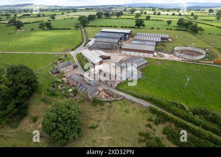 Molkereifarm im Eden Valley, Cumbria, der die Gebäude und das Weideland um die Farm herum bestaunt. Stockfoto