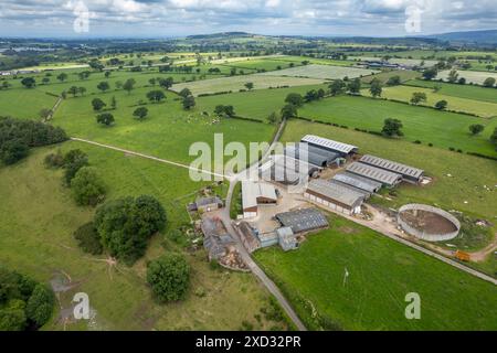 Molkereifarm im Eden Valley, Cumbria, der die Gebäude und das Weideland um die Farm herum bestaunt. Stockfoto