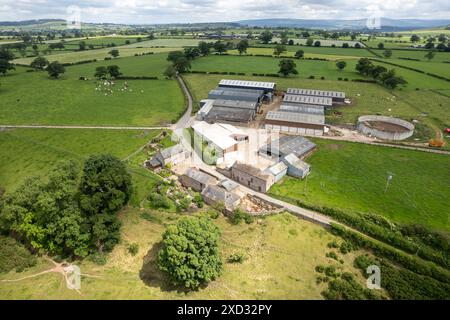 Molkereifarm im Eden Valley, Cumbria, der die Gebäude und das Weideland um die Farm herum bestaunt. Stockfoto