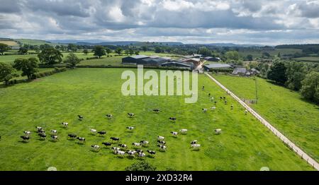 Molkereifarm im Eden Valley, Cumbria, der die Gebäude und das Weideland um die Farm herum bestaunt. Stockfoto