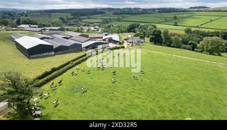 Molkereifarm im Eden Valley, Cumbria, der die Gebäude und das Weideland um die Farm herum bestaunt. Stockfoto