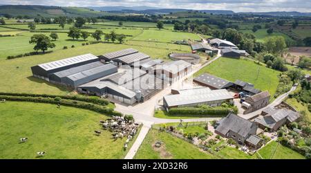 Molkereifarm im Eden Valley, Cumbria, der die Gebäude und das Weideland um die Farm herum bestaunt. Stockfoto