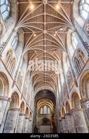 Das Kirchenschiff der Herford Cathedral blickt nach Osten und zeigt die feine Decke. Stockfoto