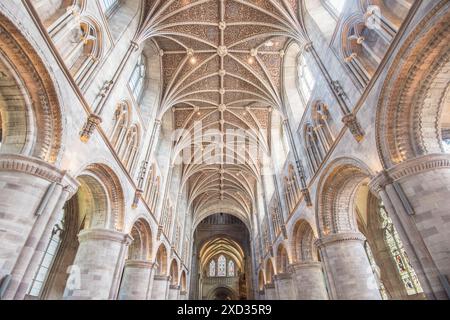 Das Kirchenschiff der Herford Cathedral blickt nach Osten und zeigt die feine Decke. Stockfoto