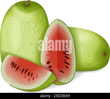 Ganze und gehackte Ali Baba Watermelon. Citrullus lanatus. Obst und Gemüse. Isolierte Vektordarstellung. Stock Vektor