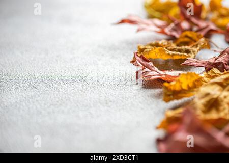 Ein beruhigendes Arrangement aus getrockneten, bunten Herbstblättern auf einem strukturierten grauen Hintergrund, das das Wesen des Herbstes einfängt Stockfoto