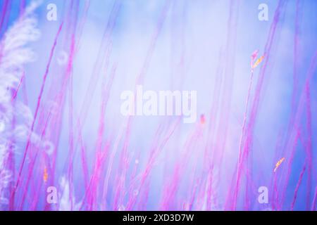 Dieses Bild zeigt eine abstrakte Naturszene, die mit Pinselstrichen von lebendigem Licht und Farben gemalt ist und eine traumhafte Atmosphäre schafft Stockfoto
