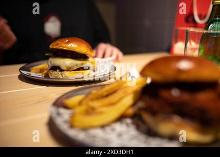 Ein Blick aus der Nähe auf einen köstlichen saftigen Käseeburger mit schmelzendem Käse, gepaart mit einer Seite goldener Pommes frites, serviert auf zeitgenössischem Geschirr i Stockfoto