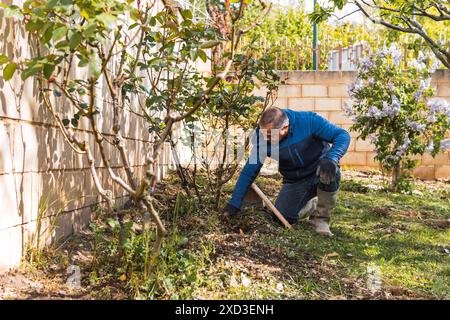 Ein reifer Mann arbeitet aktiv im Garten, trägt blaue Kleidung und Handschuhe und bearbeitet den Boden um Büsche in einem gut beleuchteten Vorstadthinterhof Stockfoto