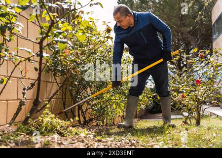 Ein älterer männlicher Gärtner schneidet und pflegt lebhafte Gartenpflanzen in einem sonnendurchfluteten Garten. Er verwendet ein langstieliges Werkzeug, um präzise CA Stockfoto