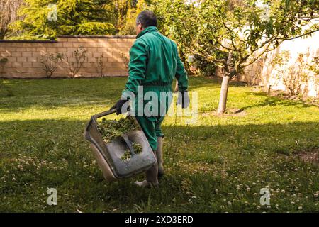 Ein Mann mittleren Alters, in grünen Arbeitsanzügen gekleidet, wird gezeigt, dass er einen üppigen Garten pflegt. Er benutzt eine Schubkarre, um Grasschnitt zu transportieren, Dämonen Stockfoto