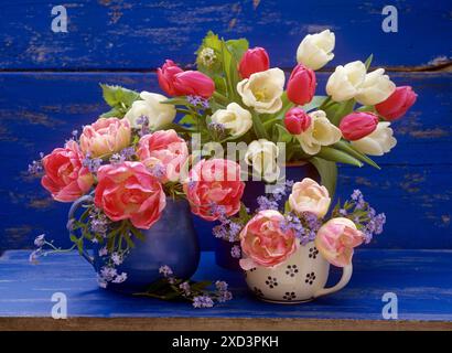 BOTANIK, ADDITIONAL-RIGHTS-CLEARANCE-INFO-NOT-AVAILABLE Stockfoto