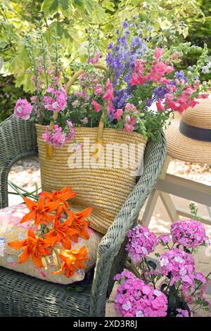BOTANIK, ADDITIONAL-RIGHTS-CLEARANCE-INFO-NOT-AVAILABLE Stockfoto