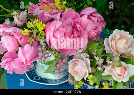 Botanik, rosafarbene Pfingstrosen und cremefarbene Rosen mit gelben allium in china Krügen auf einem blauen Tisch, ZUSÄTZLICHE RECHTE-CLEARANCE-INFO-NOT-AVAILABLE Stockfoto