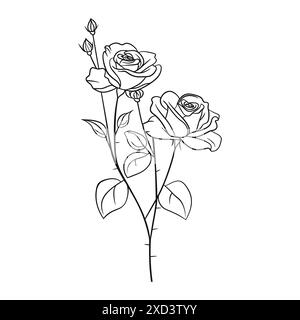 Zeichnung von Blütenrosen am Stiel mit Blättern. Vintage-Linienzeichnung. Blumen im Gravurstil. Handgezeichnete realistische offene Rosenknospen Stock Vektor