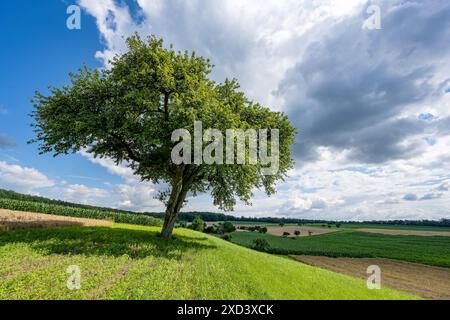 Geografie / Reisen, Deutschland, ACHTUNG! FÜR DIE VERWENDUNG VON GREETINGCARD/POSTKARTEN IN DEUTSCHSPRACHIGEN LÄNDERN GELTEN MÖGLICHERWEISE BESTIMMTE EINSCHRÄNKUNGEN Stockfoto