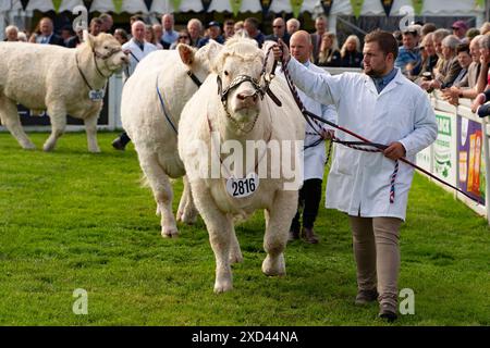 Edinburgh, Schottland, Großbritannien. Juni 2024. Eröffnungstag der Royal Highland Show in Ingliston Edinburgh. Die jährlich stattfindende Royal Highland Show zeigt das Landleben und die Geschäfte in Schottland. Iain Masterton/Alamy Live News Stockfoto