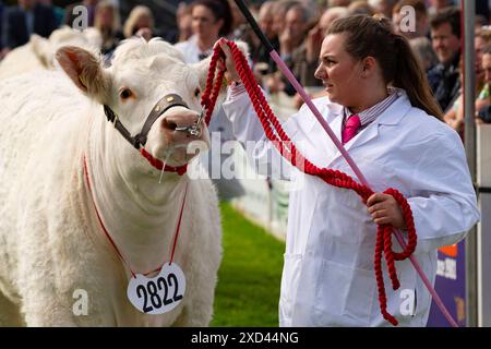 Edinburgh, Schottland, Großbritannien. Juni 2024. Eröffnungstag der Royal Highland Show in Ingliston Edinburgh. Die jährlich stattfindende Royal Highland Show zeigt das Landleben und die Geschäfte in Schottland. Iain Masterton/Alamy Live News Stockfoto