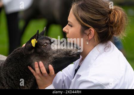 Edinburgh, Schottland, Großbritannien. Juni 2024. Eröffnungstag der Royal Highland Show in Ingliston Edinburgh. Die jährlich stattfindende Royal Highland Show zeigt das Landleben und die Geschäfte in Schottland. Die weibliche Hundeführerin zeigt während des Urteilens offensichtliche Zuneigung zu ihren Schafen. Iain Masterton/Alamy Live News Stockfoto