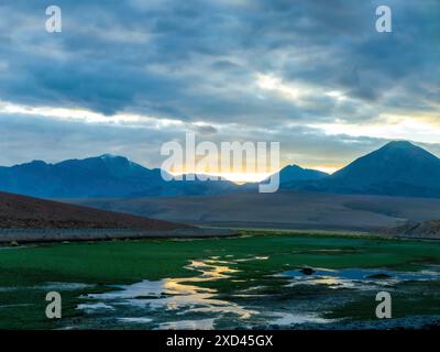 Hochlandlandschaft mit Tundra und Lagunen, Atacamawüste, Chile Stockfoto