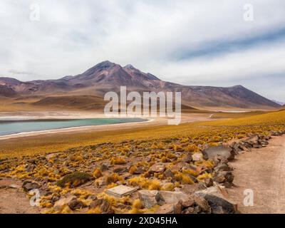 Highland Lagunen Atacama Desert, Chile Stockfoto