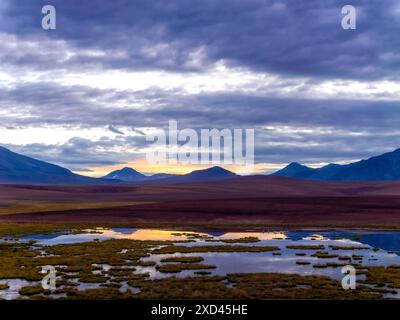 Hochlandlandschaft mit Tundra und Lagunen, Atacamawüste, Chile Stockfoto