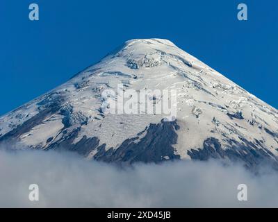 Vulkanischer Gipfel über den Wolken, der schneebedeckte Vulkan Osorno, Chile Stockfoto