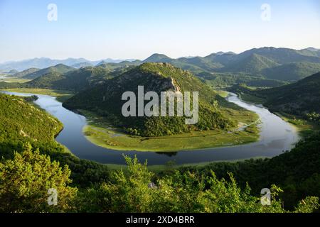 Blick auf die Feuchtgebiete in Richtung des Skadar-Sees in Montenegro Stockfoto