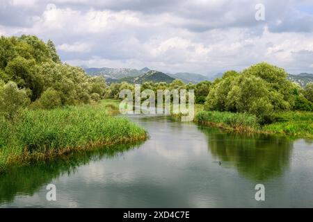 Blick auf die Feuchtgebiete in Richtung des Skadar-Sees in Montenegro Stockfoto