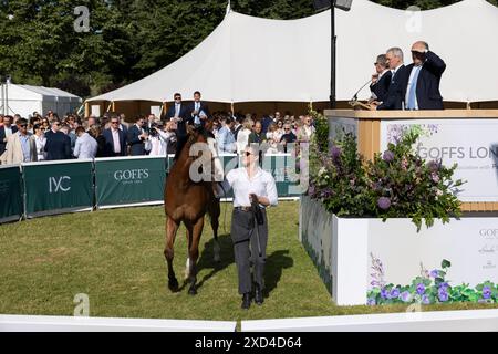 The Goffs London Sale, Londons exklusivster Vollblut-Verkauf, bei dem Pferde für Millionen Menschen den Besitzer wechseln, Kensington Palace Gardens, London, Großbritannien Stockfoto