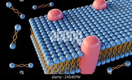 3D-Rendering einer Lipidmonolayer ist eine Art Zellmembran, in der die Lipide in einer einzigen Schicht angeordnet sind und nicht in der typischen Doppelschicht. Stockfoto