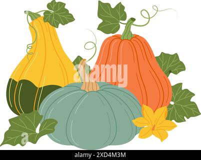 Bunte Kürbisse mit Reben und Blättern. Herbstblume mit Kürbissen, Blüten und Blättern. Handgezeichnet, flach, isoliert auf Transparent. Saisonale Ernte Cucurbita Pflanze. Vektorabbildung Stock Vektor