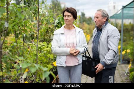 Positives reifes Paar in lässiger Kleidung, das Pflanzen und Sträucher in Töpfen auswählt, während es im Gartencenter einkauft Stockfoto