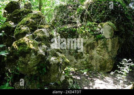 Ein Bunker aus dem Zweiten Weltkrieg in einem Wald nahe der deutsch-französischen Grenze, bewachsen mit Moos und Efeu. Die Betonkonstruktion ist teilweise zerbröckelt, umgeben von üppiger Vegetation und verflecktem Sonnenlicht Stockfoto