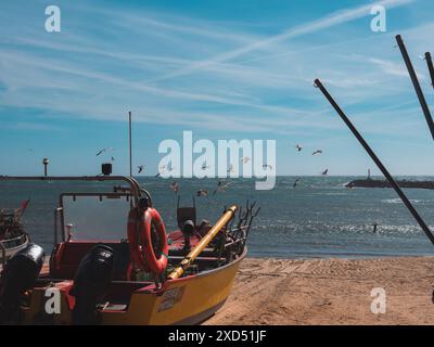 Alte Fischerboote im Sand auf dem Meer in Portugal am blauen Himmel und Möwen auf einem Hintergrund. Praia de Angeiras.Portugal.26.05.2024 Stockfoto