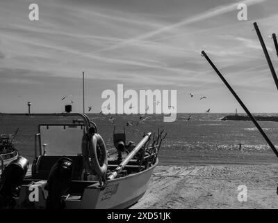 Schwarz-weiße alte Fischerboote im Sand auf dem Meer in Portugal am blauen Himmel und Möwen auf einem Hintergrund. Praia de Angeiras.Portugal.26.05.2024 Stockfoto