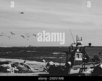 Schwarz-weiße alte Fischerboote im Sand auf dem Meer in Portugal am blauen Himmel und Möwen auf einem Hintergrund. Praia de Angeiras.Portugal.26.05.2024 Stockfoto