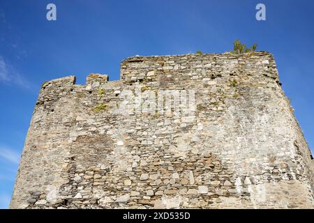 Auf Eilean Tioram, die Zeit, die ihren Tribut auf den historischen, ruinierten Festungsmauern von Castle Tioram erhebt. Schottland Stockfoto