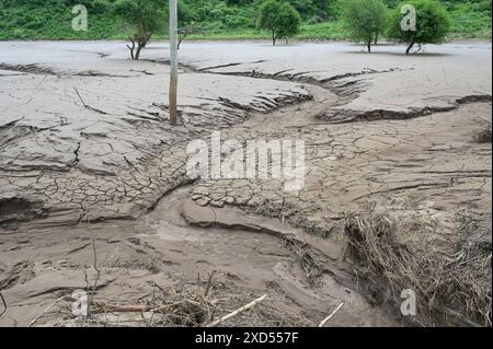 ÄTHIOPIEN, Region Süd-Äthiopien, Arguba, Überschwemmung nach langer Dürre zerstört Felder mit Mais / ÄTHIOPIEN, Arguba, zerstörte Mais Felder nach Starkregen und langer Dürre Stockfoto