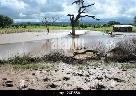 ÄTHIOPIEN, Region Süd-Äthiopien, Arguba, Überschwemmung nach langer Dürre zerstört Felder mit Mais / ÄTHIOPIEN, Arguba, zerstörte Mais Felder nach Starkregen und langer Dürre Stockfoto