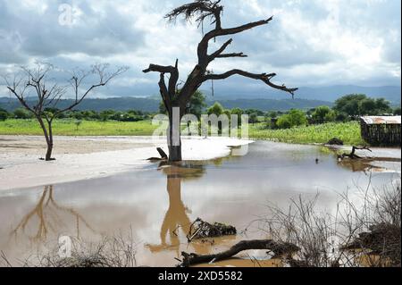 ÄTHIOPIEN, Region Süd-Äthiopien, Arguba, Überschwemmung nach langer Dürre zerstört Felder mit Mais / ÄTHIOPIEN, Arguba, zerstörte Mais Felder nach Starkregen und langer Dürre Stockfoto